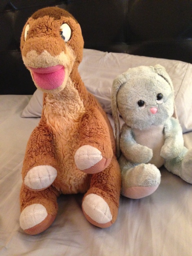 Ceebs mentioned her stuffed animals, Bunny and Littlefoot, that she has had since 1988.